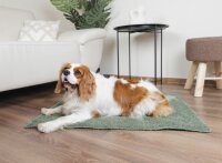 Dandy Dog Hundedecke Balance Soft Green Größe XL