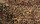 Hundebett Leopard